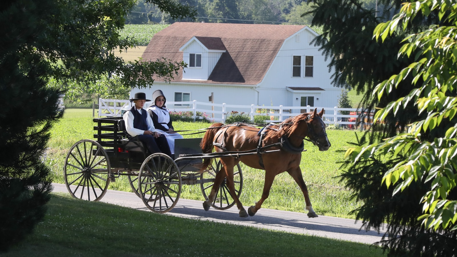 An Unforgettable Day in Amish Country: Finding Family Far From Home